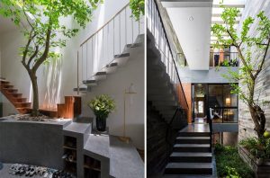 Cây phong thủy đặt cầu thang để hút tài lộc