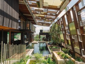 Biệt thự tạo suối, làm vườn trên mái giống vườn nhiệt đới