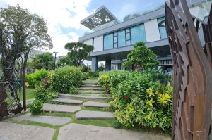 Biệt thự 2.000 m² hình chuồn chuồn nước
