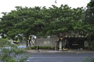 Nhà phố thiết kế như ruộng bậc thang Tây Bắc
