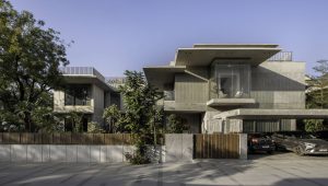 The Stone-Crete House: Kết hợp giữa sự thô mộc và cây cổ thụ