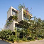Thiết kế Biophilic là gì?